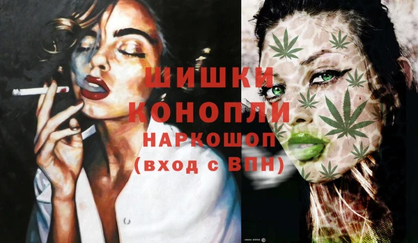 ПСИЛОЦИБИНОВЫЕ ГРИБЫ Верхний Тагил